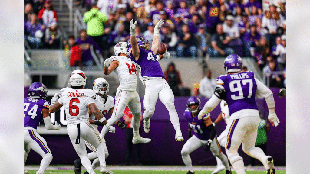 Arizona Cardinals vs Minnesota Vikings Match Player Stats
